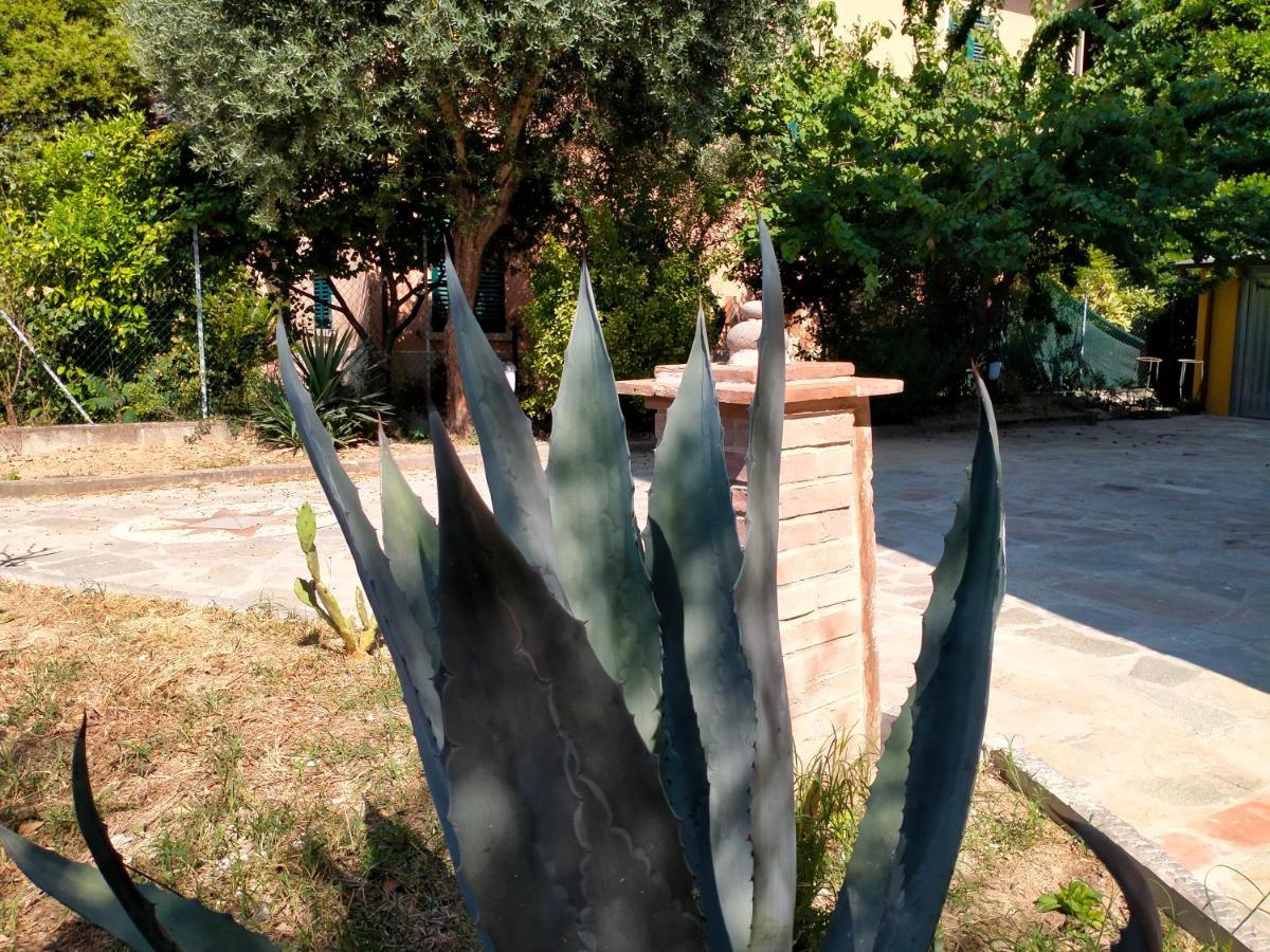 Il Cantuccio Guest house Lucca